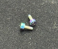 Burned Titanium Motor Screw pr (MX-R1MS-10)