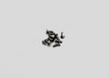 RX28-047 Reflex Racing RX28 M2x6 CS Head Screws (10pcs)